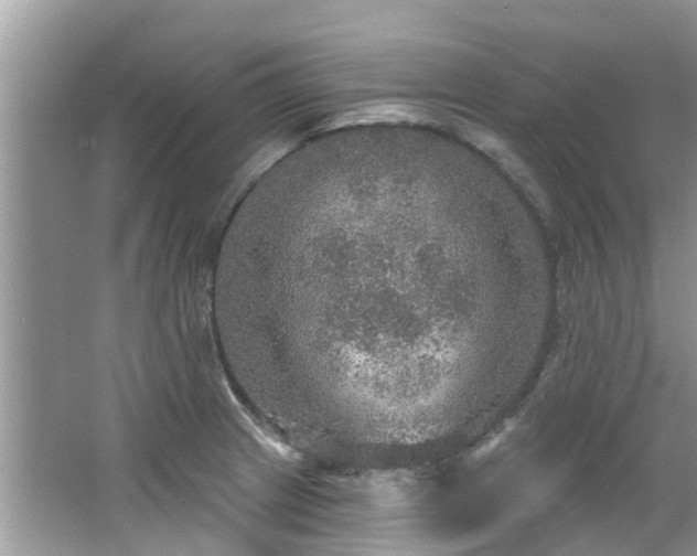 X0000067471233200604101150