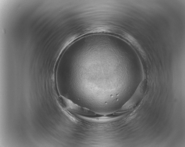 X0000067471234200604101150