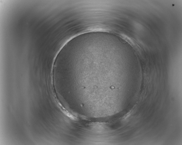 X0000067471236200604101150