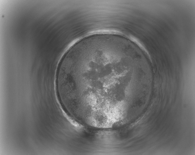 X0000067471237200604101150