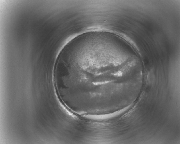 X0000067471239200604101150