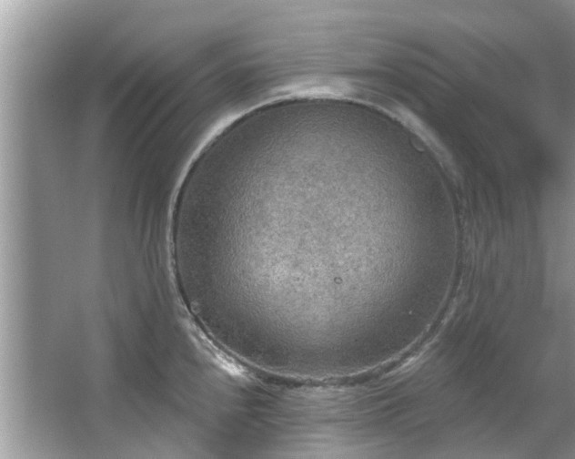 X0000067471240200604101150