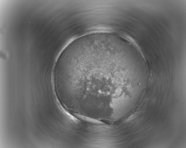 X0000067471243200604101150