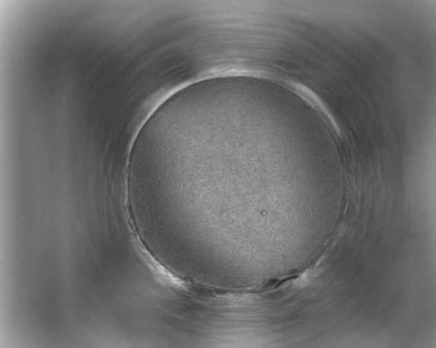 X0000067471244200604101150