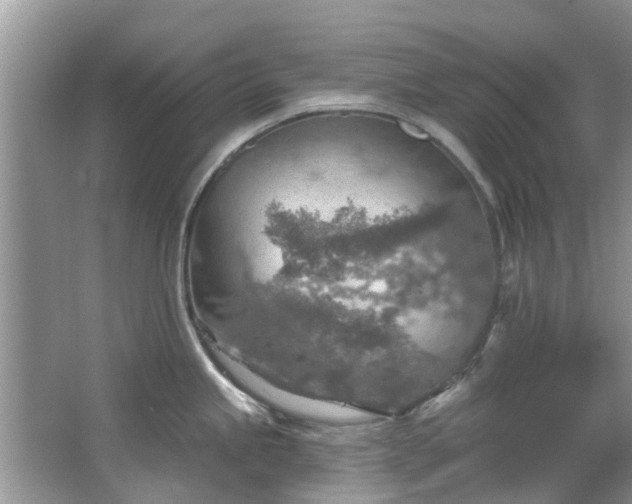 X0000067471245200604101150