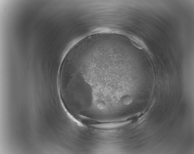 X0000067471247200604101151