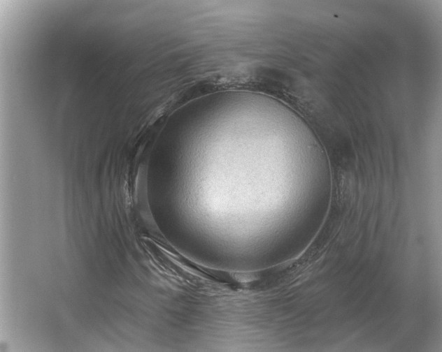 X0000067471250200604101150