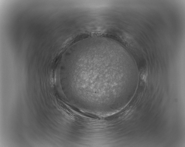 X0000067471252200604101150