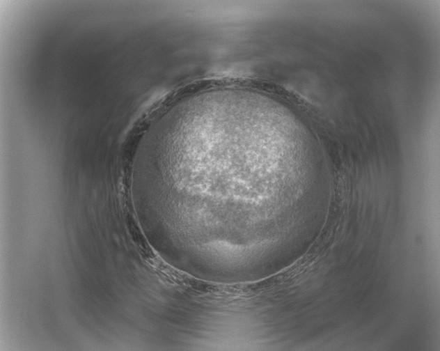 X0000067471254200604101150