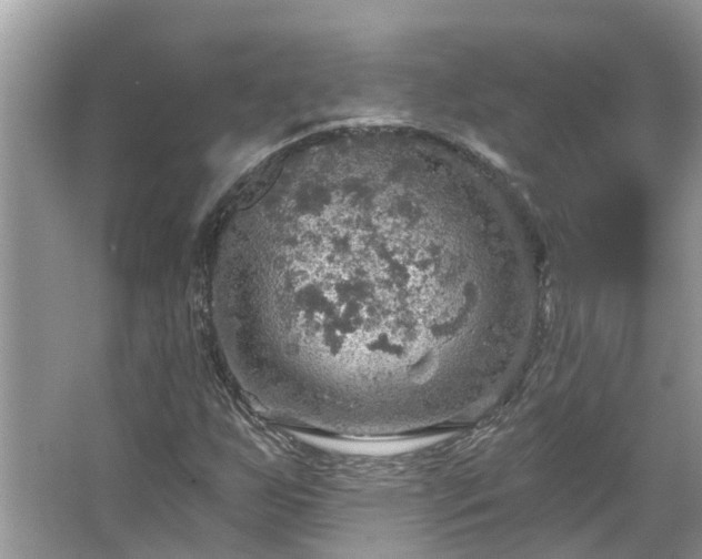 X0000067471255200604101150