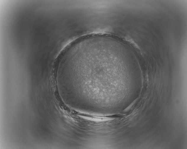 X0000067471256200604101150