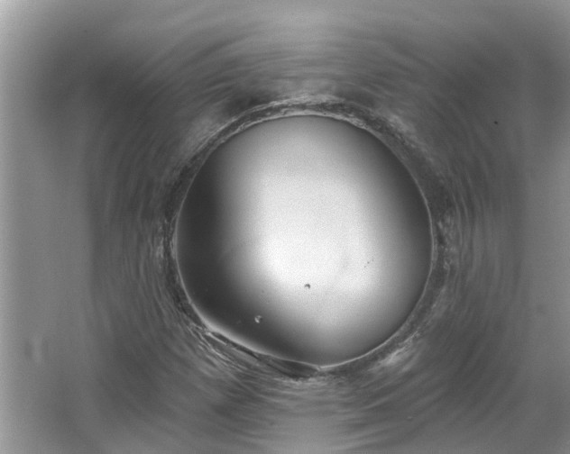 X0000067471257200604101150