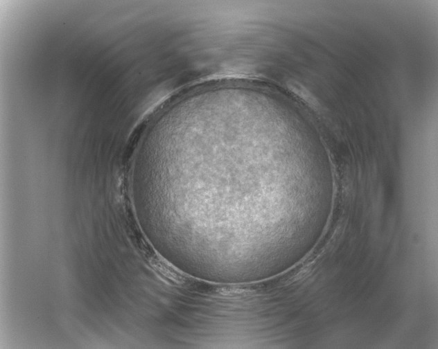 X0000067471258200604101150