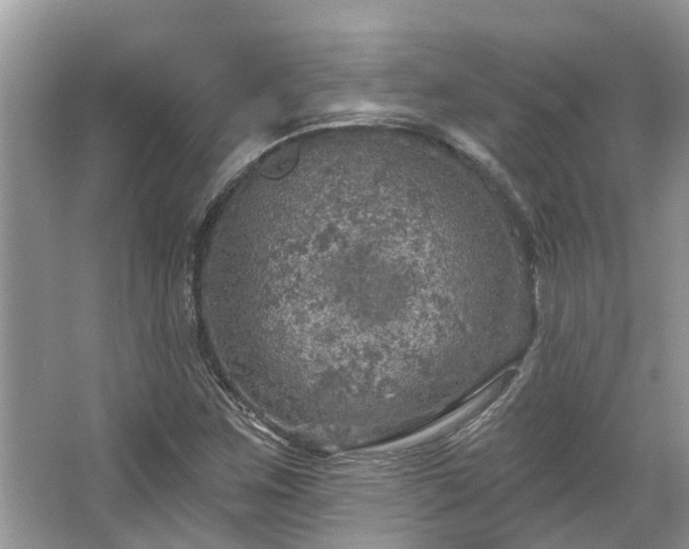 X0000067471259200604101150