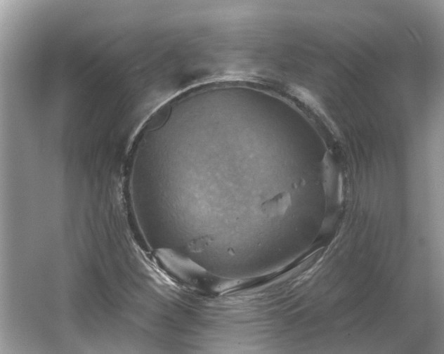 X0000067471260200604101150