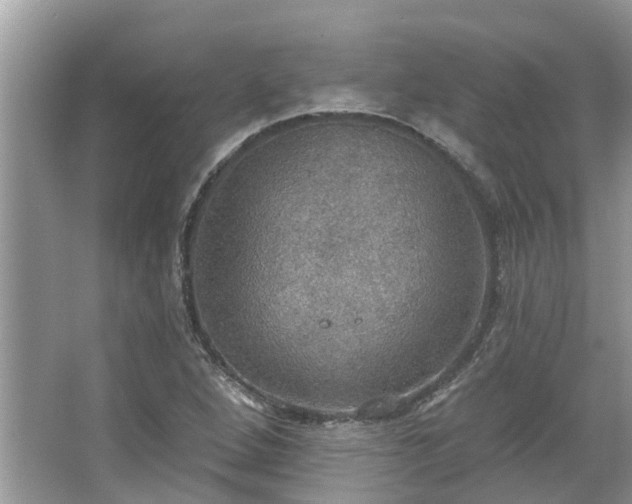 X0000067471264200604101149