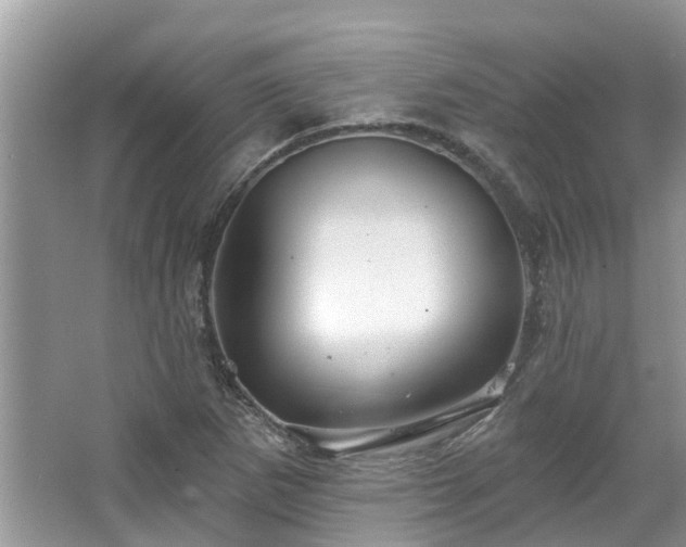 X0000067471265200604101149