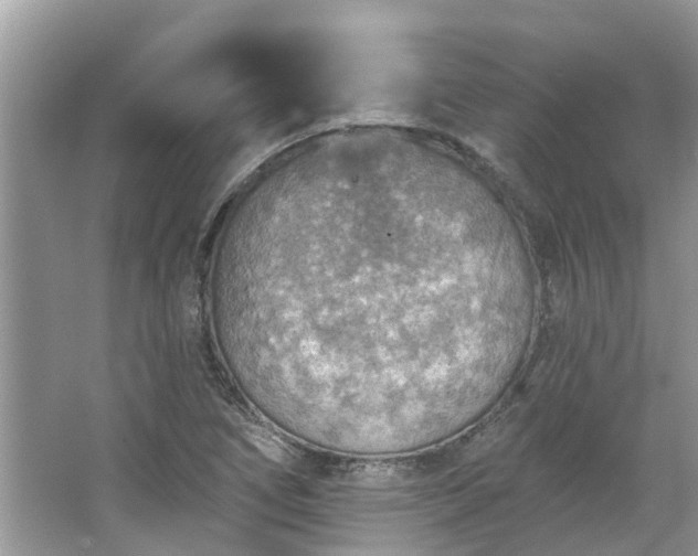 X0000067471266200604101149