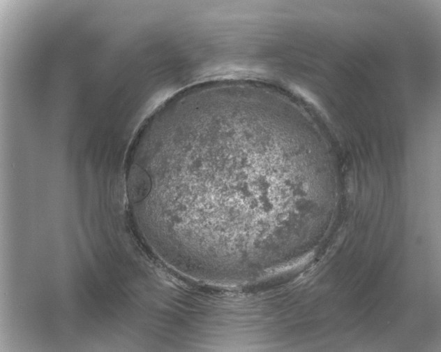 X0000067471267200604101149