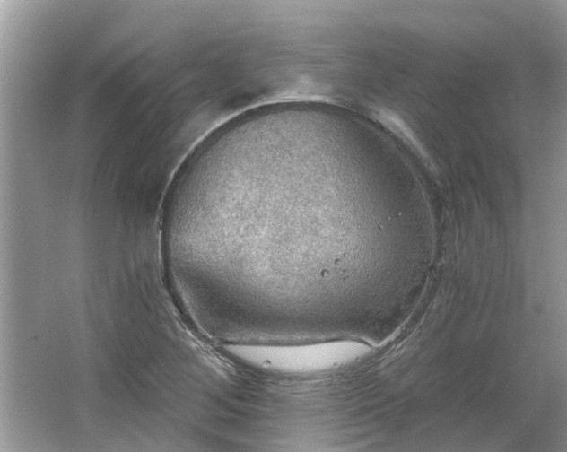 X0000067471268200604101149