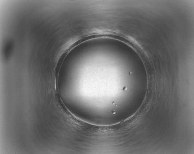 X0000067471269200604101149