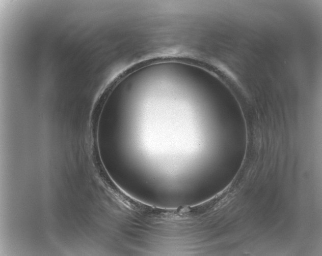 X0000067471270200604101149