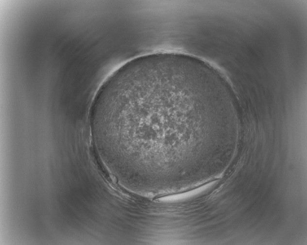 X0000067471271200604101149