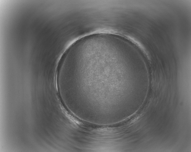 X0000067471272200604101149