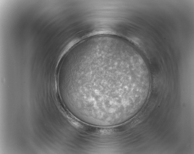 X0000067471274200604101149