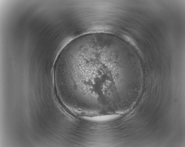 X0000067471275200604101149