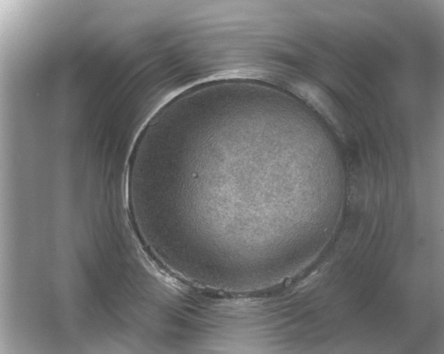 X0000067471276200604101149