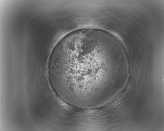 X0000067471279200604101149