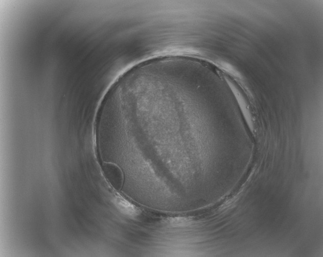 X0000067471280200604101149