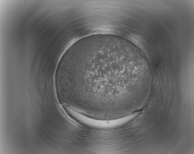 X0000067471283200604101149