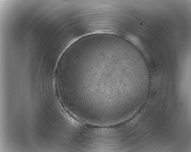 X0000067471284200604101149