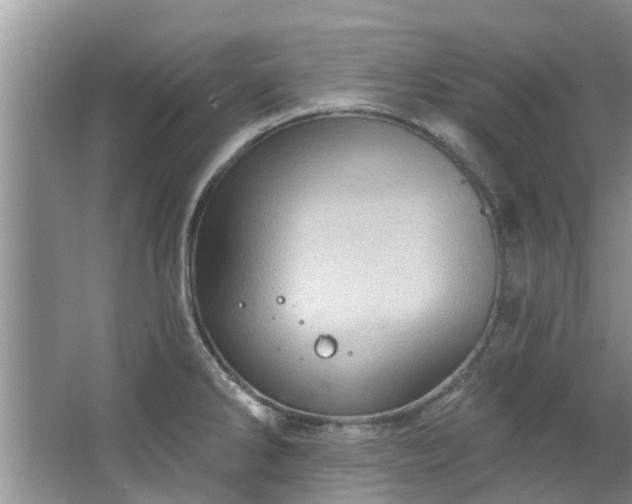 X0000067471286200604101149