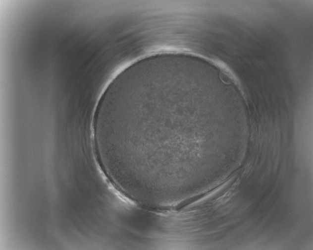 X0000067471287200604101149