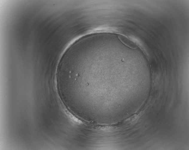 X0000067471288200604101149