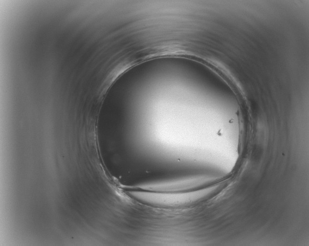 X0000067471289200604101149