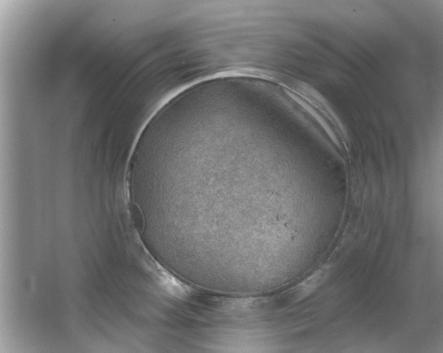 X0000067471292200604101149