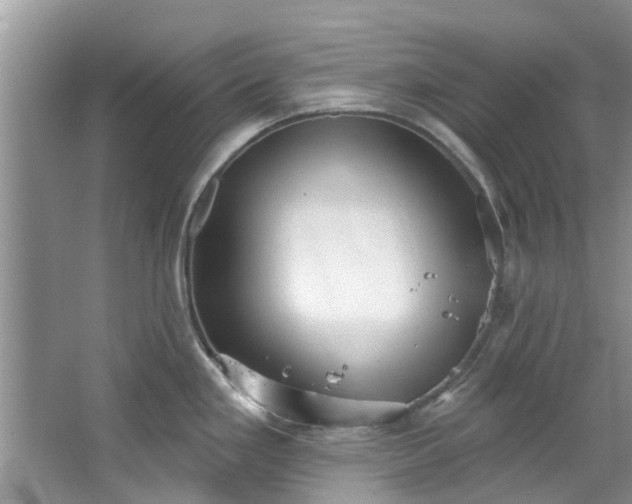 X0000067471293200604101149