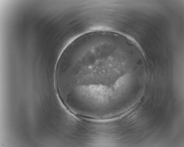 X0000067471295200604101149