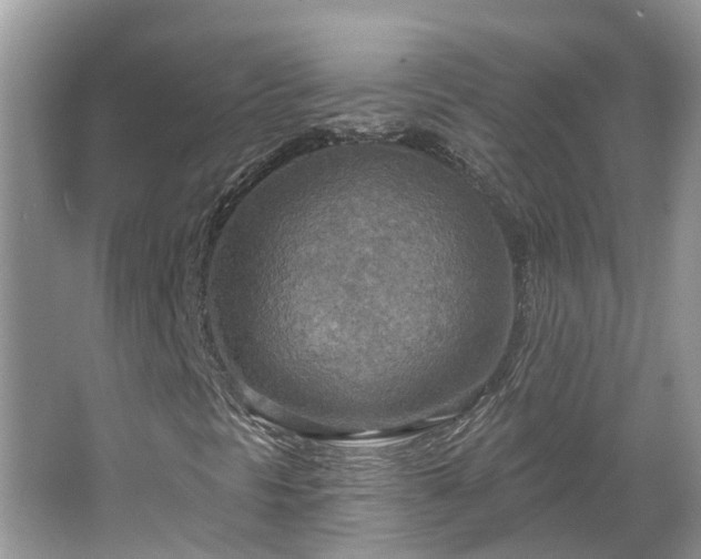 X0000067471297200604101148