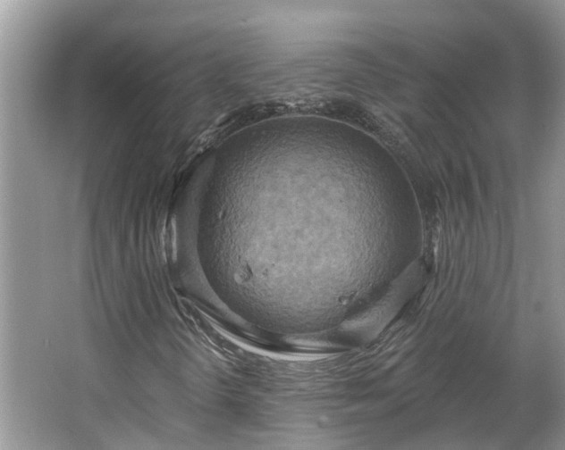 X0000067471298200604101148