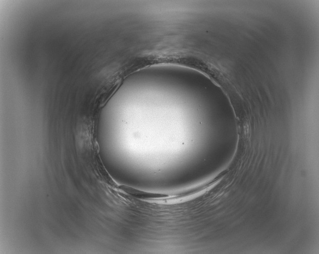 X0000067471300200604101148