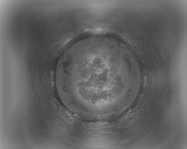 X0000067471301200604101148