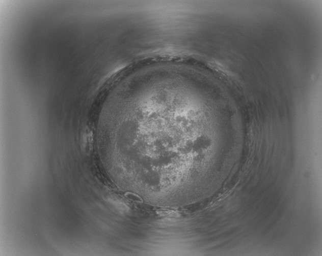 X0000067471302200604101148