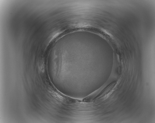 X0000067471306200604101148