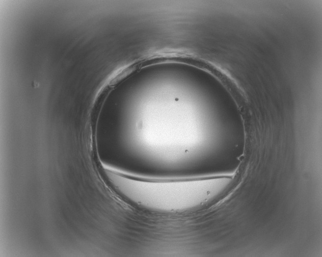 X0000067471317200604101148