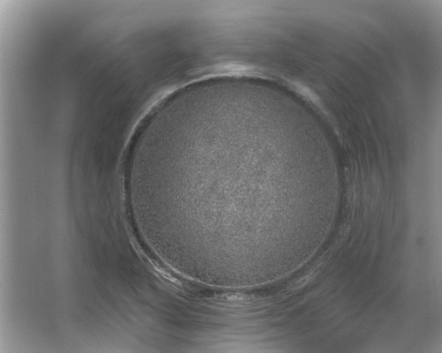 X0000067471318200604101148